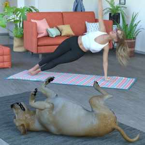 Everyday Yogi II Poses for Genesis 8.1 Female Everyday Yogi II Poses for Genesis 8.1 Female