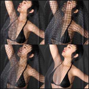 Neat Nets 9 DS Neat Nets 9 DS