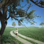 Hybrid Trees Ultimate Hybrid Trees Ultimate