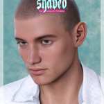 Shaved Hair V2 for Genesis 8.1 Males Shaved Hair V2 for Genesis 8.1 Males