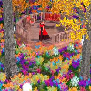 My Beautiful Plants and Trees My Beautiful Plants and Trees