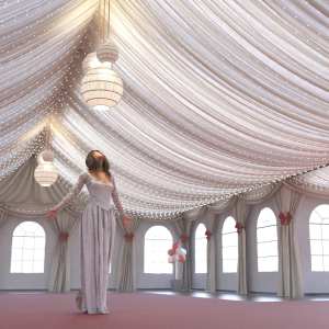 Marquee Party Marquee Party