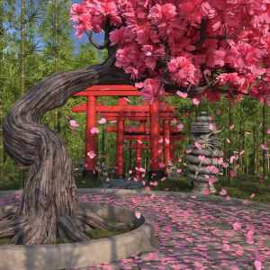 Miracle Garden Miracle Garden