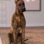 Oso Dog Fur for Daz Dog 8 Oso Dog Fur for Daz Dog 8