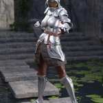 The Western Knight Series 05 for Genesis 8 Females The Western Knight Series 05 for Genesis 8 Females