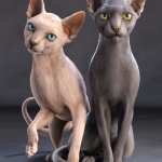 Sphynx HD for Cat Zeus Sphynx HD for Cat Zeus