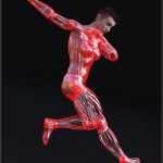 PROTOTYPE-X – Synthetic Limbs – for G8F PROTOTYPE-X – Synthetic Limbs – for G8F