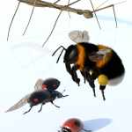 Little Friends Insect Bundle Little Friends Insect Bundle