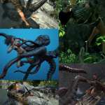 Wild Journey Poses Part 2 Wild Journey Poses Part 2