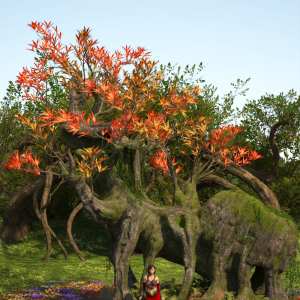 Showy Trees and Plants Pack Showy Trees and Plants Pack