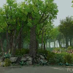 Forest Creek Forest Creek