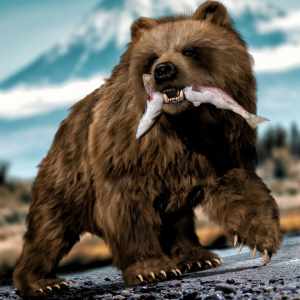 dForce Hair for Brown Bear by AMRepost  dForce Hair for Brown Bear by AMRepost