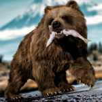 dForce Hair for Brown Bear by AMRepost dForce Hair for Brown Bear by AMRepost