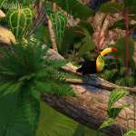 Tropical Plants for Daz Studio and Iray Vol.1 Tropical Plants for Daz Studio and Iray Vol.1