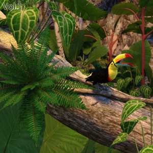 Tropical Plants for Daz Studio and Iray Vol.1 Tropical Plants for Daz Studio and Iray Vol.1