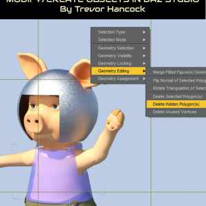 How To Use the DAZ Studio Geometry Editor How To Use the DAZ Studio Geometry Editor
