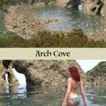 Arch Cove Arch Cove