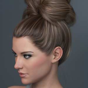 Top Updo for Genesis 3, 8, and 8.1 Females Top Updo for Genesis 3, 8, and 8.1 Females