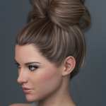 Top Updo for Genesis 3, 8, and 8.1 Females Top Updo for Genesis 3, 8, and 8.1 Females