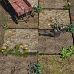 Not So Ancient Stones – Rough Concrete Shaders for Iray Not So Ancient Stones – Rough Concrete Shaders for Iray
