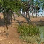Desert Diorama for Iray Desert Diorama for Iray
