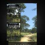 Australia Botanica – Bundle Australia Botanica – Bundle