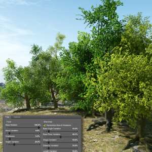 Randomizable Trees Randomizable Trees