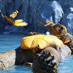 Storybook Turtle HD for Genesis 8.1 Males Storybook Turtle HD for Genesis 8.1 Males