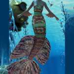Sailors Ruin Metallic Tails and Geoshells for Coral 8.1 Sailors Ruin Metallic Tails and Geoshells for Coral 8.1