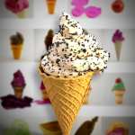 GNBD Gelatoo Lovers GNBD Gelatoo Lovers