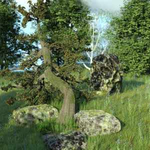 The Druids Grove – A Mystical Scene The Druids Grove – A Mystical Scene