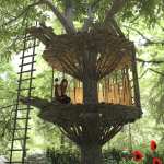 Treehouses Treehouses