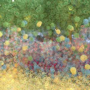 Magic Fields Forever Magic Fields Forever