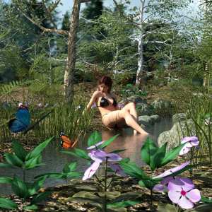 My Little Creek My Little Creek