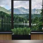 PondScapes Backdrops Volume 1 PondScapes Backdrops Volume 1
