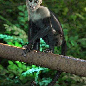 Monkey Business Hierarchical Poses for Chocos The Monkey Monkey Business Hierarchical Poses for Chocos The Monkey