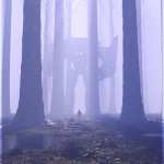 Ancient Mystical Forest Ancient Mystical Forest