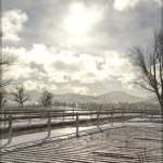 Easy Environments: Winter Fields Easy Environments: Winter Fields