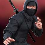 Ninja Animations for Genesis 8 Ninja Animations for Genesis 8