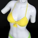 dForce SU Summer Bikini for Genesis 9, 8.1, and 8 Female dForce SU Summer Bikini for Genesis 9, 8.1, and 8 Female