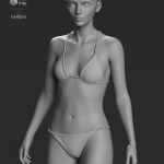 Coral 8.1 HD Add-On Coral 8.1 HD Add-On
