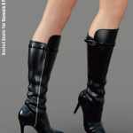 Heeled Boots for Genesis 8 Female(s) Heeled Boots for Genesis 8 Female(s)