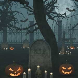 Land of Halloween Land of Halloween