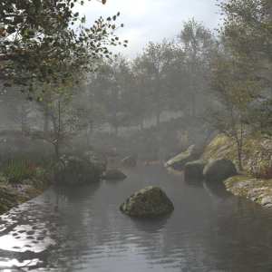 Foggy Forest 2 Foggy Forest 2