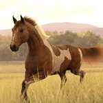 DA Wild Style Daz Horse 3 dForce Hair Expansion DA Wild Style Daz Horse 3 dForce Hair Expansion