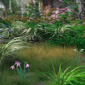 Ornamental Grass Plants and Groups for Daz Studio Ornamental Grass Plants and Groups for Daz Studio