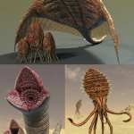 Sand Creatures Sand Creatures