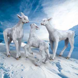 Midnight Creature 02 Snow Llama Midnight Creature 02 Snow Llama