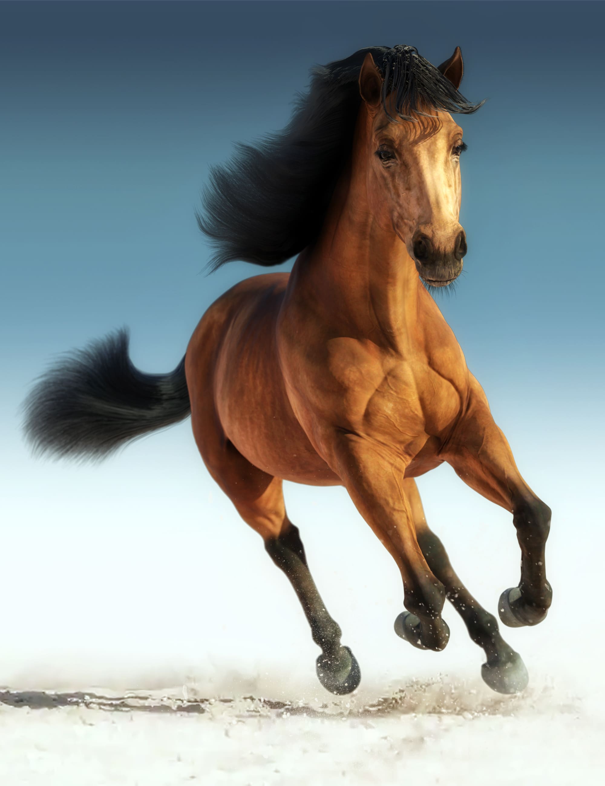Daz Horse 3 Daz Horse 3