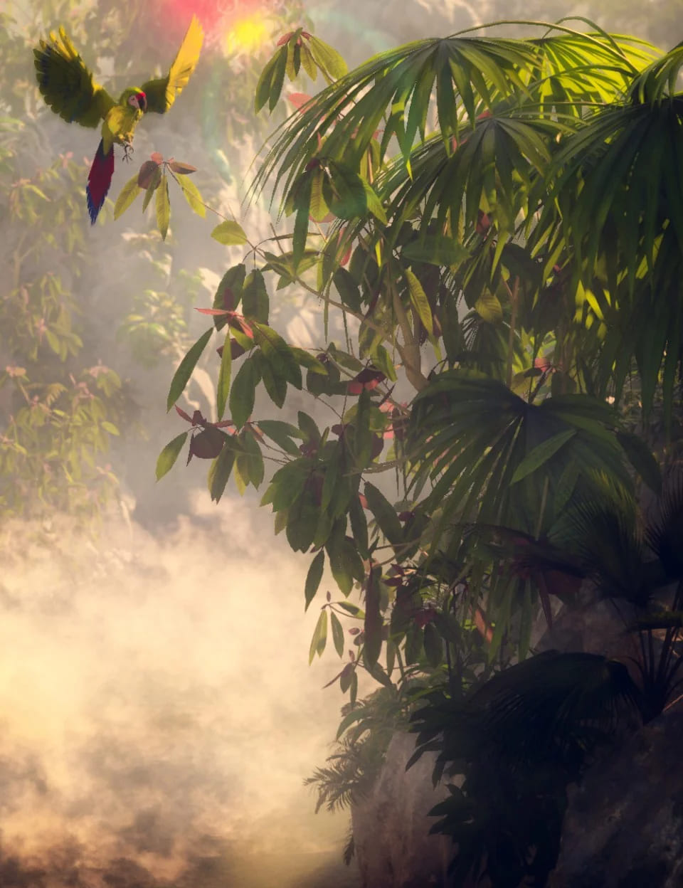 Tropical and Sub Tropical Foliage - Trees and Shrubs Tropical and Sub Tropical Foliage - Trees and Shrubs
